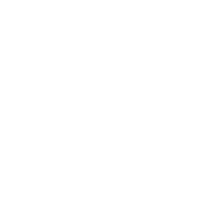 hwh_icon_bad-u-wellness-01